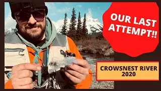 Our Last Attempt - Fly Fishing on the Crowsnest River - May 2020