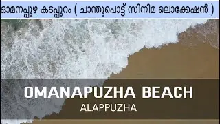 Drone View | Omanapuzha beach | Alappuzha | Kerala. ഓമനപ്പുഴ കടപ്പുറം(ചാന്തുപൊട്ട് സിനിമ ലൊക്കേഷൻ )