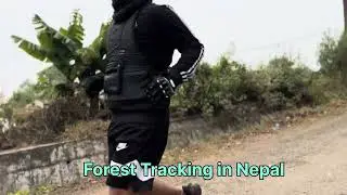 Forest Tracking in Nepal |