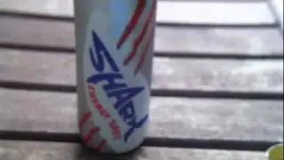 Shark energiashotti