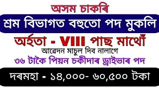 Assam Job | Labour Commissioner Assam Recruitment 2021 | Apply online for 36 Posts