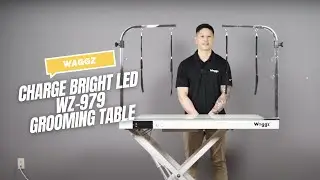 LED Tabletop Pet Grooming Table with Frosted Glass Charge Bright (WZ-929)