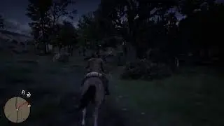 RDR2 Exploration Story Walkthrough Gameplay