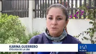 #ENVIVO | Noticiero de Quito, Emisión Central