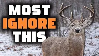 This Is the Most Important Time for Your Farm | Hunt Companion