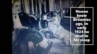 Brownie the Wonder Dog  Forgotten Canine Film Star