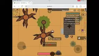 Survev Montage 2
