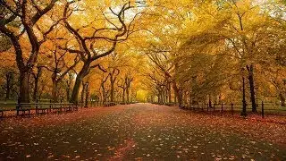 Piano Instrumental Music 2018 Life Is a Journey, Not a Destination Love Songs Piano Music