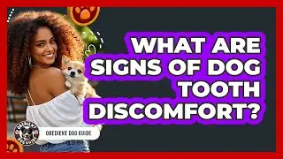 What Are Signs Of Dog Tooth Discomfort?