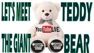 LET'S MEET THE GIANT TEDDY BEAR @BDSlots  #2023 #4k #NEW