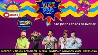 Festival Pernambuco Meu Paí 17/01/26 - #aovivo - Juarez, Nathalia Calasans, Zezo, Timbalada