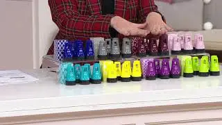 Guard Your ID Advanced X Identity Protection 6-Pc Roller Set on QVC