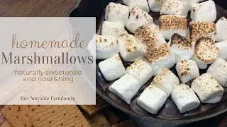 Homemade Naturally Sweetened Marshmallows | NOURISHING, 5 MINUTE RECIPE