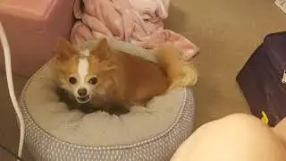 zacks bed must be perfectly sorted