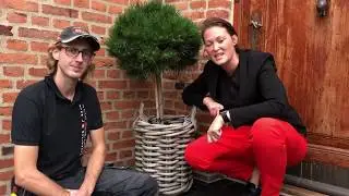 Tips & Tricks julebelysning