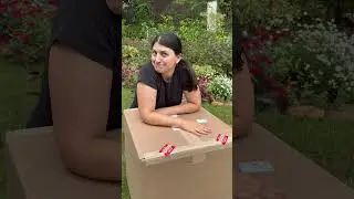 Наконец-то я нашёл самый простой способ выращивать цитрусовые в контейнерах! 🍋 ✅