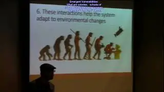 Emergent Vulnerabilities What Ant Colonies Schools Of Fish And Security Have In Common Nathaniel Dr