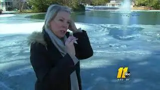 Woman saves her dogs that fell through icy pond