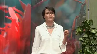 The power of architecture and its impact on human wellbeing | Natalia Olszewska | TEDxPrague
