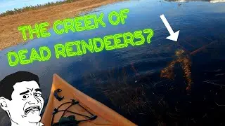 Just a small Kayaking adventure! #kayaking #adventure #j&auml;mtland #creek #calmstream #water #reindeer