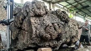 STOP RIGHT THERE! No One Wants to Cut This Tree&mdash;Only the Fearless at the Sawmill Tried