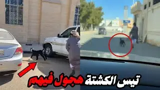 تيس الكشتة شرد منهم شوفو كيف حاولو يمسكوه!!