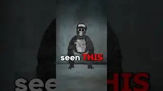 Тень реален? #gorillatag #gtag #vr #recommended #shorts