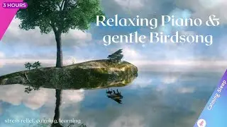 Relaxing Piano 🎹 & gentle Birdsong 🐦, stress relief, calming, learning 🧑&zwj;🎓