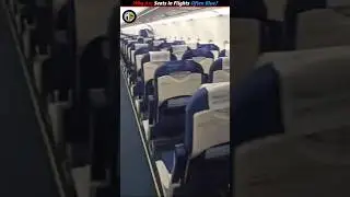 Why are seats in flights often blue?