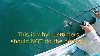 Fluke on the Miss Montauk 7 20 19