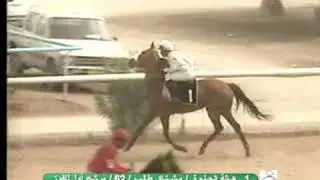 سباق الخيول المنصور(14)