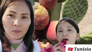 Eating CACTUS fruit | Tunisia Trip | Exploring North Africa| Kadz Family