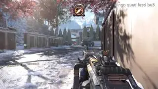 dingo dollar challenge quad feed bo3