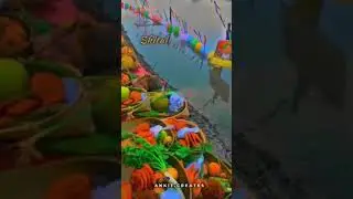 Chhath puja aa rha he # Chhath puja #Nitish volgerr 2&bull;0 # short