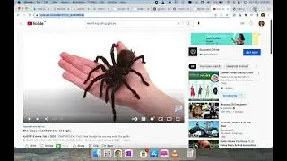 How to download the youtube video | Download Youtube Video In VLC | Download Any Video