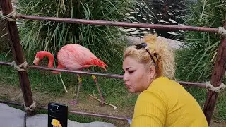 Zoológico de Chapultepec 