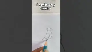 How to Draw a Parrot form Number 5 / Parrot🦜drawing easy #parrot #shorts #drawing #art #drawingbirds