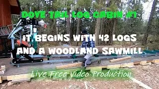 I bought a sawmill & 42 logs - Dove tail log cabin #1