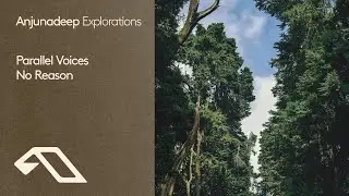 Parallel Voices - No Reason