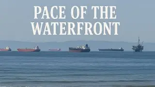Why Are So Many Tankers Parked Off the California Coast? | Port Congestion & Tariffs Explained