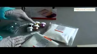 Product Demo: Mineral Eye Shadow Kit