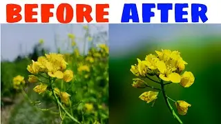 Snapseed photo editing।। lightroom photo editing।। nature photo editing। photo edit ❤️🥰❤️