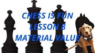 LESSON 8 MATERIAL VALUE