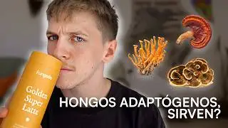 Tomé hongos adaptógenos por 30 días - Fungalia