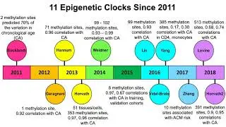 Epigenetic Clocks: Which Has The Best Correlation For Aging and Age-Related Diseases?