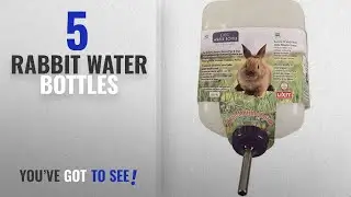 Best Rabbit Water Bottles [2018]: Lixit Corporation SLX0670 All Weather Rabbit Water Bottle,
