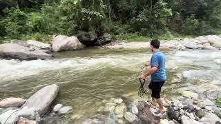 Himalayan trout fish in CastNet Fishing 🎣