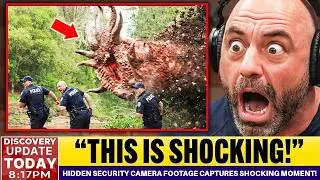 Hidden Security Camera Footage Captures Shocking Moment!