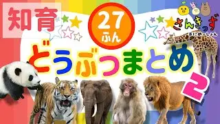 【子供向け 動物 知育アニメ】動物園のどうぶつたちの知育動画まとめpart2★【27分連続再生】ぞうさん パンダ キリン ライオン 人気の動物が大集合！ 赤ちゃん 幼児が喜ぶアニメ