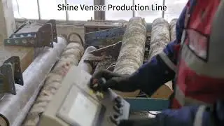 Wood Veneer Production Line from Shine Machinery! Contact us if you are interested.#woodworking